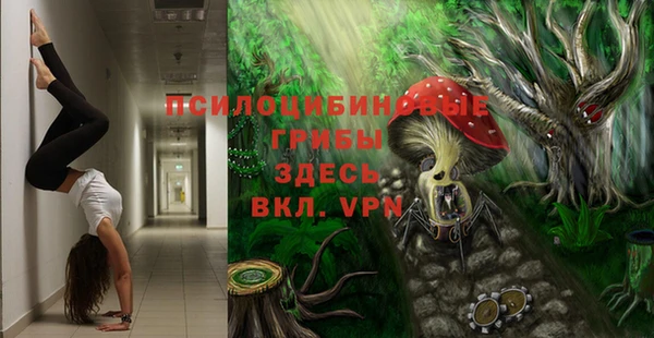 амф Костерёво