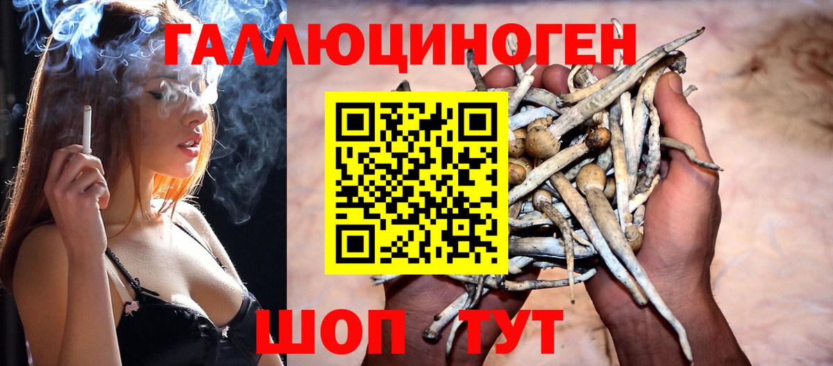 Псилоцибиновые грибы ЛСД  Вход с VPN  Комсомольск-на-Амуре 