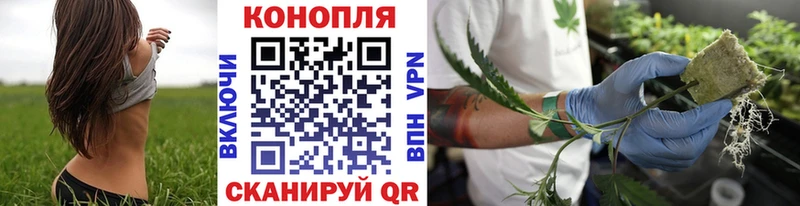 Конопля планчик  MEGA tor  Комсомольск-на-Амуре 